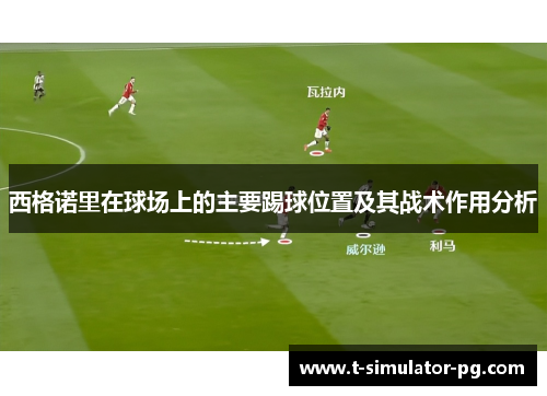 西格诺里在球场上的主要踢球位置及其战术作用分析